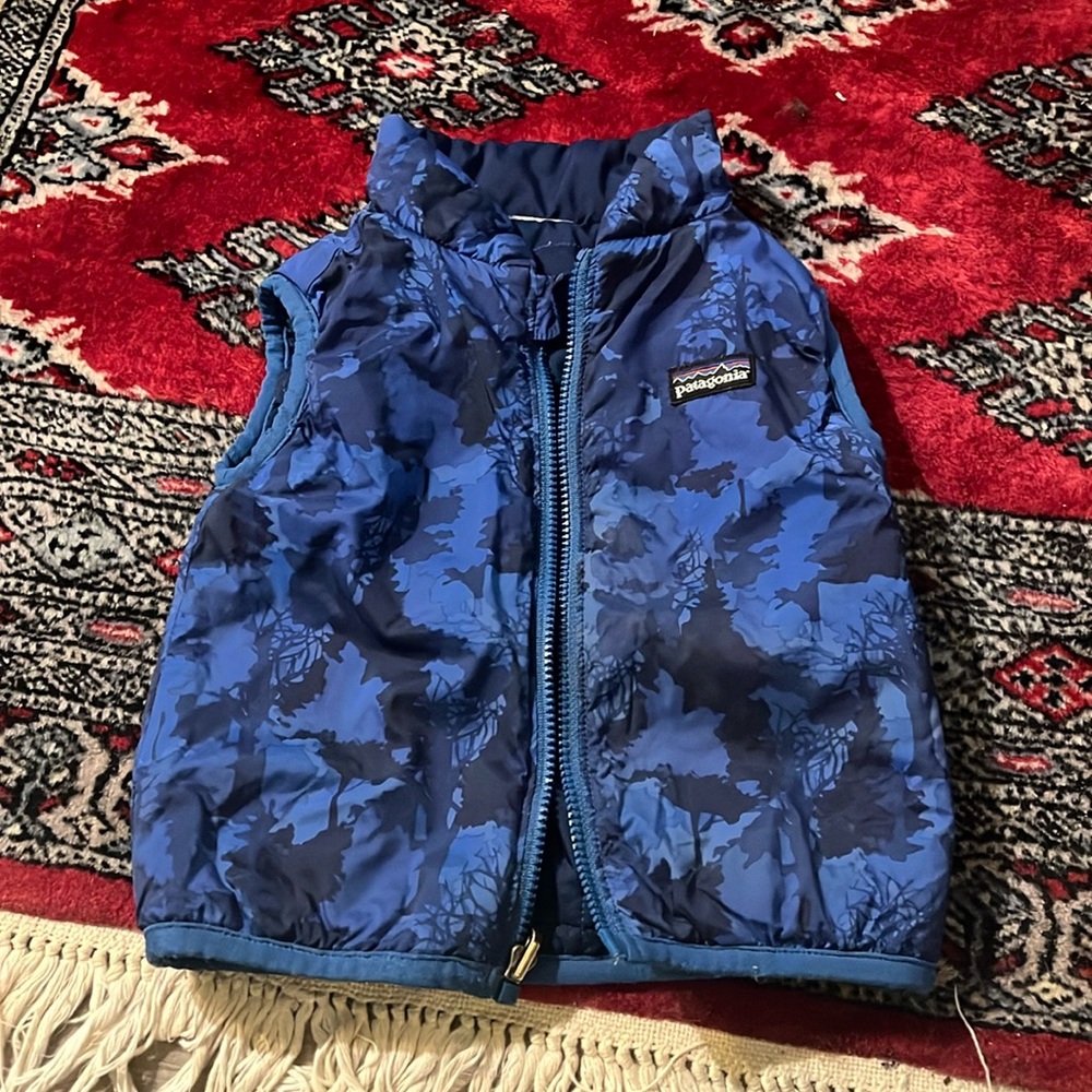 Patagonia Vest